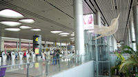 Changi Airport-02.jpg